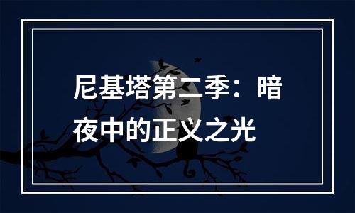 尼基塔第二季：暗夜中的正义之光