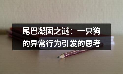 尾巴凝固之谜：一只狗的异常行为引发的思考