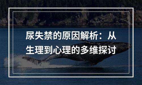 尿失禁的原因解析：从生理到心理的多维探讨