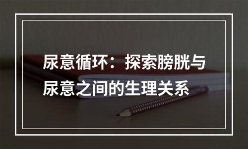 尿意循环：探索膀胱与尿意之间的生理关系