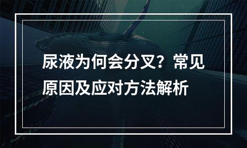 尿液为何会分叉？常见原因及应对方法解析