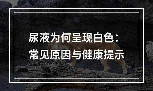 尿液为何呈现白色：常见原因与健康提示