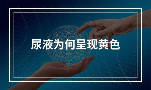 尿液为何呈现黄色