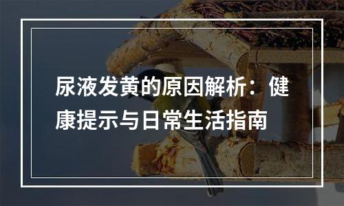 尿液发黄的原因解析：健康提示与日常生活指南