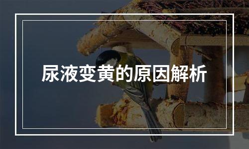 尿液变黄的原因解析