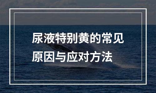 尿液特别黄的常见原因与应对方法