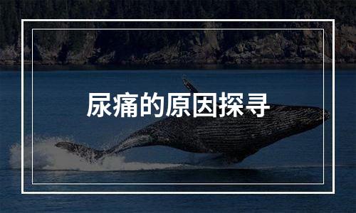 尿痛的原因探寻