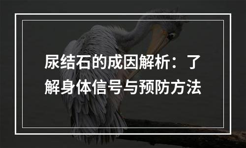 尿结石的成因解析：了解身体信号与预防方法
