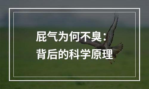 屁气为何不臭：背后的科学原理