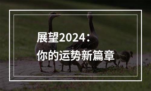 展望2024：你的运势新篇章