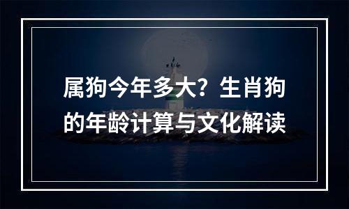 属狗今年多大？生肖狗的年龄计算与文化解读