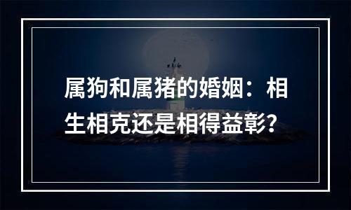 属狗和属猪的婚姻：相生相克还是相得益彰？