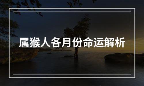 属猴人各月份命运解析