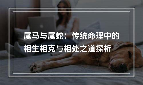 属马与属蛇：传统命理中的相生相克与相处之道探析
