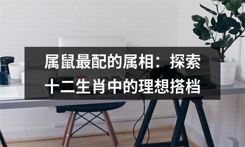 属鼠最配的属相：探索十二生肖中的理想搭档