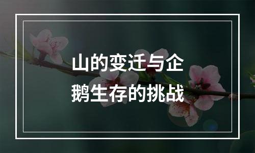山的变迁与企鹅生存的挑战