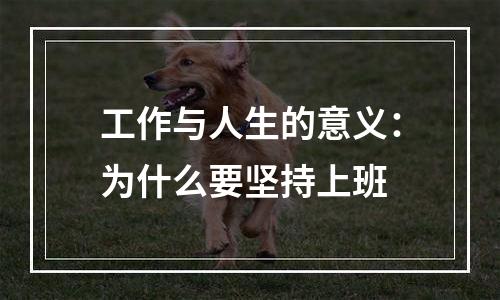 工作与人生的意义：为什么要坚持上班
