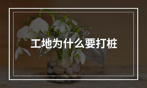 工地为什么要打桩