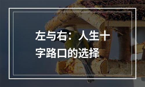 左与右：人生十字路口的选择