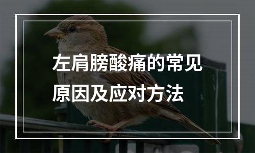 左肩膀酸痛的常见原因及应对方法