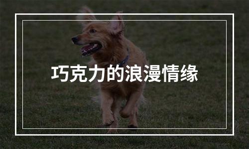 巧克力的浪漫情缘