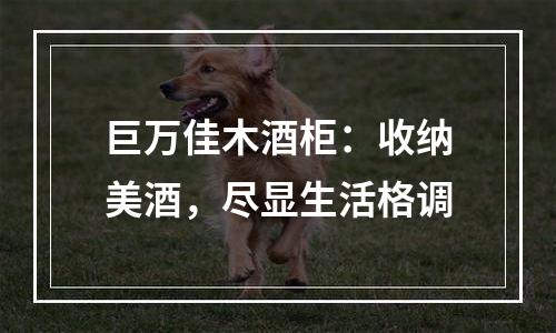 巨万佳木酒柜：收纳美酒，尽显生活格调