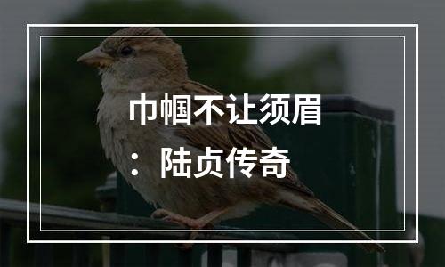 巾帼不让须眉：陆贞传奇