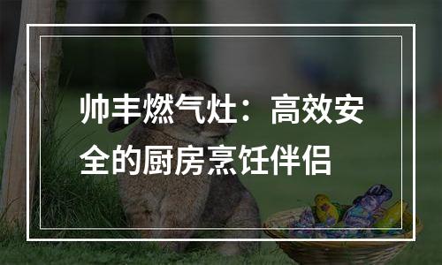 帅丰燃气灶：高效安全的厨房烹饪伴侣