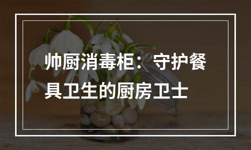 帅厨消毒柜：守护餐具卫生的厨房卫士