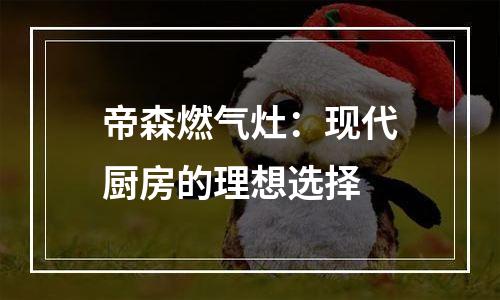 帝森燃气灶：现代厨房的理想选择