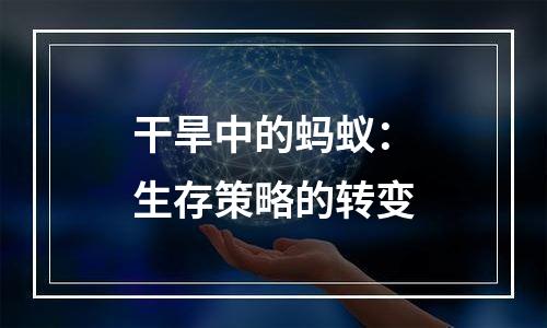 干旱中的蚂蚁：生存策略的转变