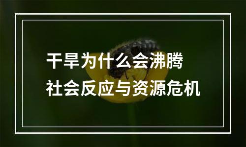 干旱为什么会沸腾 社会反应与资源危机
