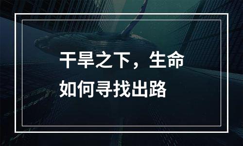 干旱之下，生命如何寻找出路