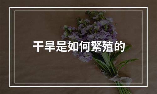 干旱是如何繁殖的