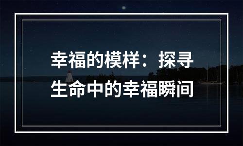 幸福的模样：探寻生命中的幸福瞬间