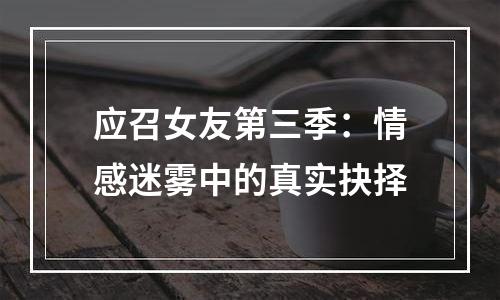 应召女友第三季：情感迷雾中的真实抉择