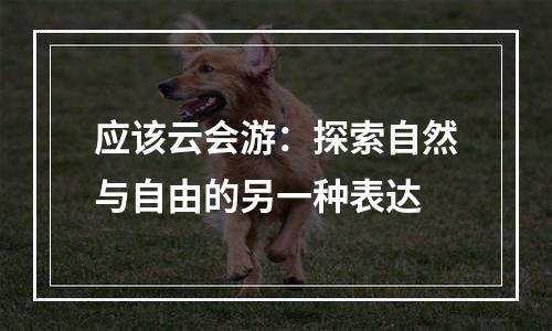 应该云会游：探索自然与自由的另一种表达
