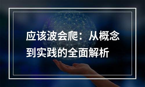 应该波会爬：从概念到实践的全面解析