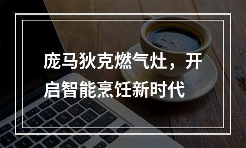 庞马狄克燃气灶，开启智能烹饪新时代