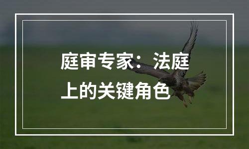 庭审专家：法庭上的关键角色