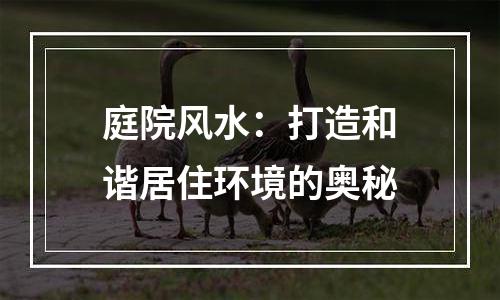 庭院风水：打造和谐居住环境的奥秘