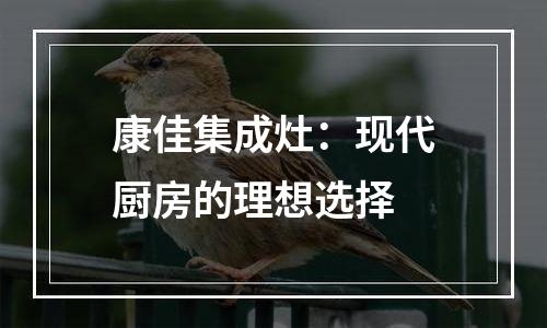 康佳集成灶：现代厨房的理想选择