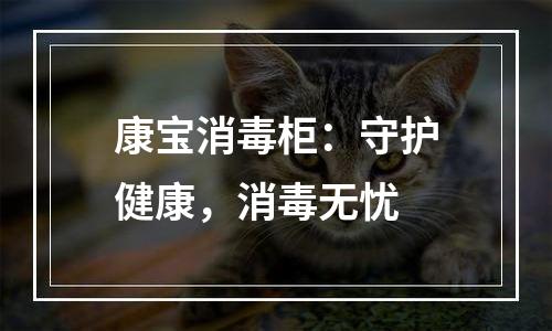 康宝消毒柜：守护健康，消毒无忧