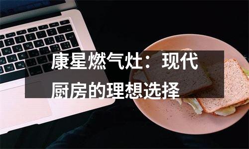 康星燃气灶：现代厨房的理想选择