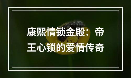康熙情锁金殿：帝王心锁的爱情传奇