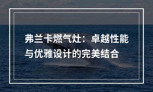 弗兰卡燃气灶：卓越性能与优雅设计的完美结合