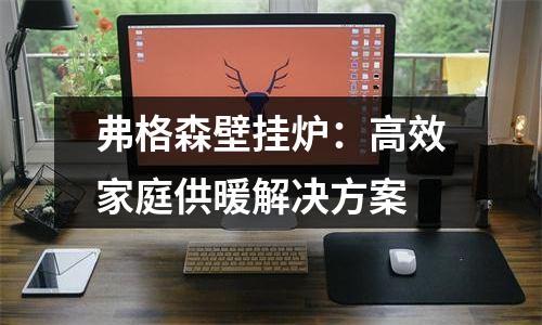 弗格森壁挂炉：高效家庭供暖解决方案