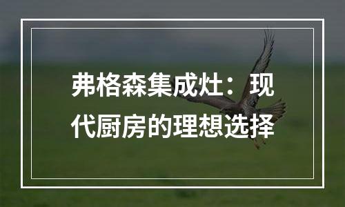 弗格森集成灶：现代厨房的理想选择