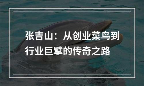 张吉山：从创业菜鸟到行业巨擘的传奇之路