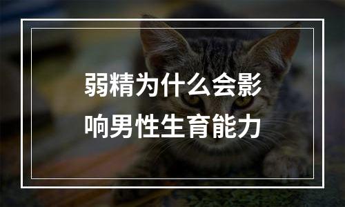 弱精为什么会影响男性生育能力